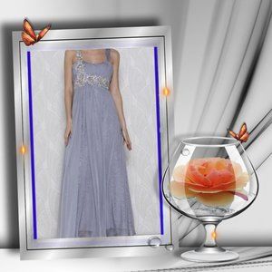 ⭐️FINAL SALE ITEM⭐️Beautiful Silver Beaded Chiffon Gown